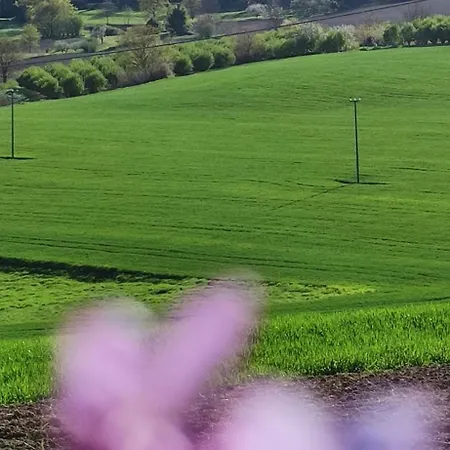 La Terra Buona Bed & Breakfast Villa San Secondo