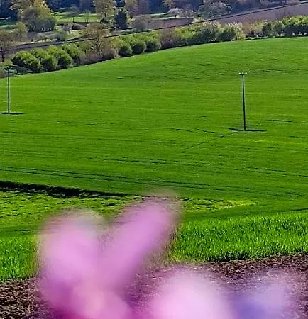 La Terra Buona 3*